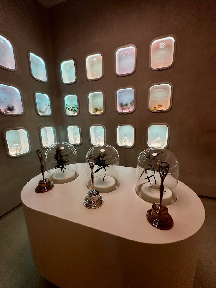 Key Things to Know Before Booking at The Travel Agency: A Cannabis Store - Union Square in New York, NY: Honest Review