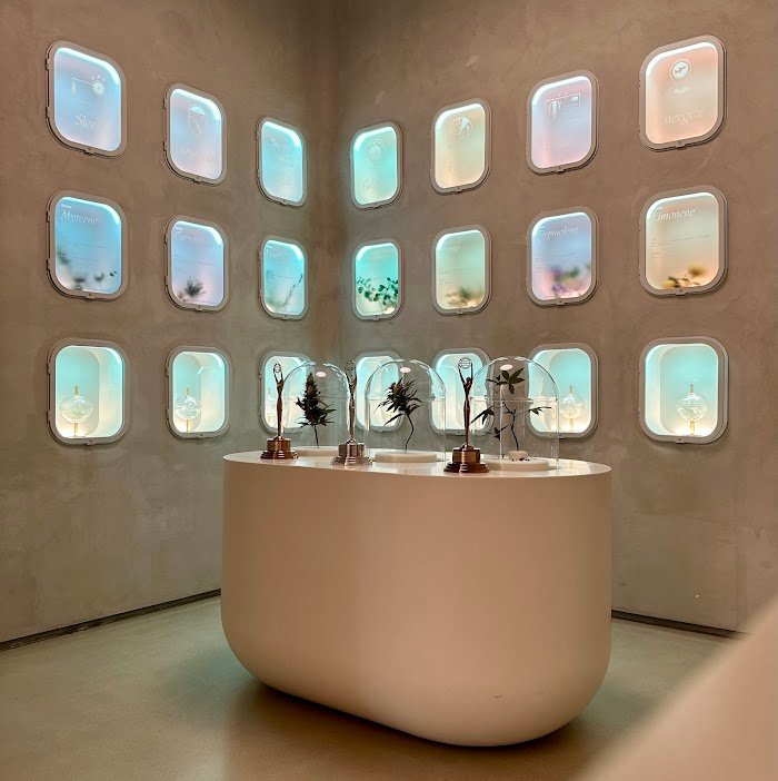 Key Things to Know Before Booking at The Travel Agency: A Cannabis Store - Union Square in New York, NY: Honest Review