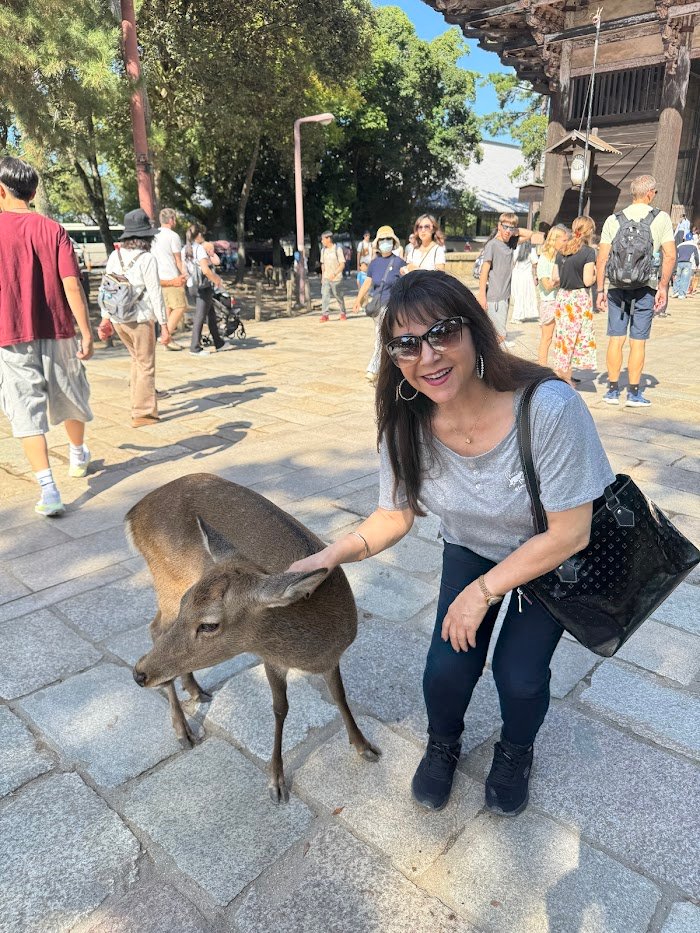 Expert Insights: ANA LA TRAVEL Canoga Park, CA Review You Can't Miss