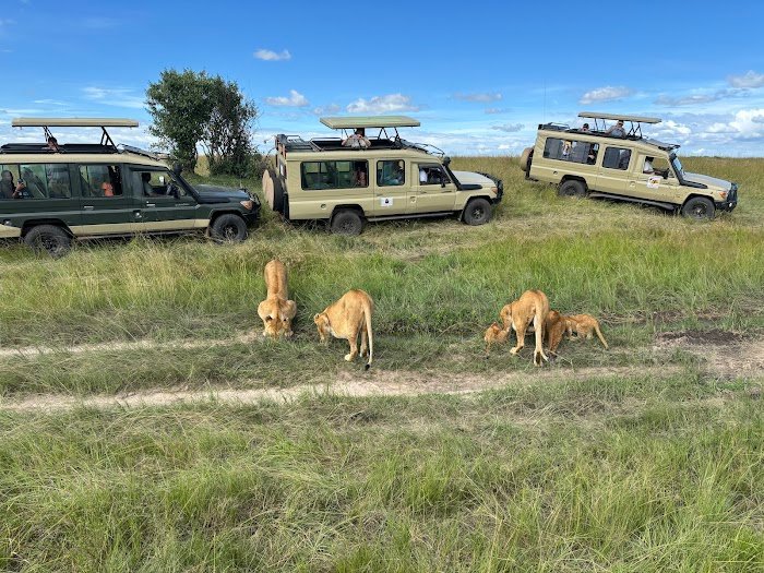 Expert Insights: ANA LA TRAVEL Canoga Park, CA Review You Can't Miss