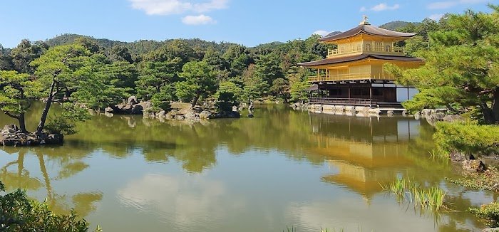 Expert Insights: ANA LA TRAVEL Canoga Park, CA Review You Can't Miss