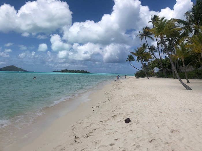 Should You Trust Travelmakers in Aliso Viejo, CA? Expert Insights Review