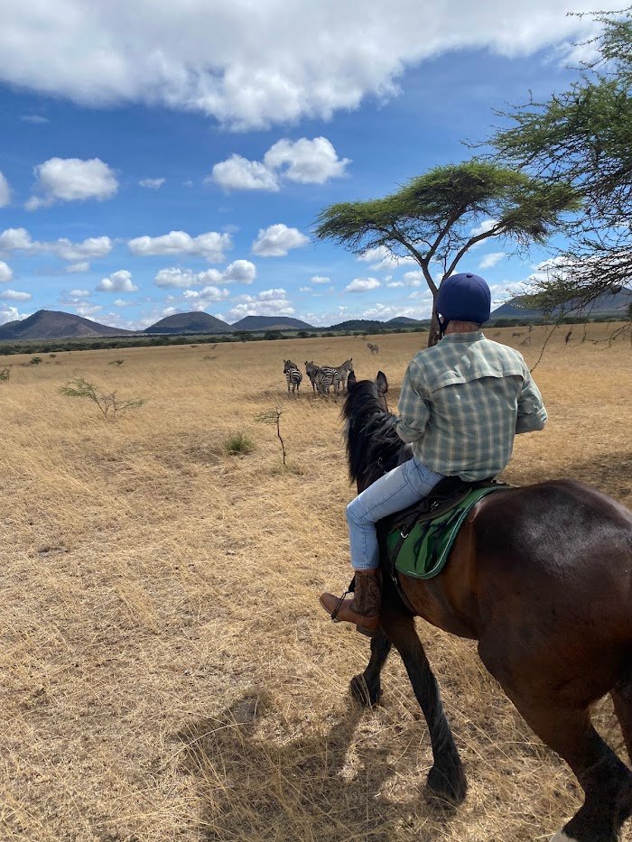 Should You Trust Travelmakers in Aliso Viejo, CA? Expert Insights Review