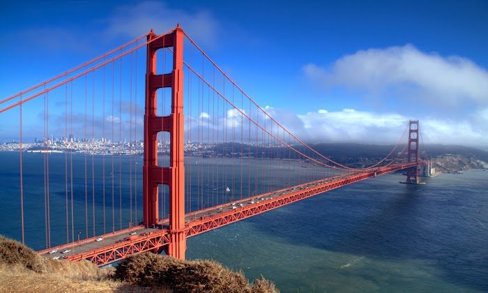 Is California Tours in Berkeley, CA Worth Booking? Expert Review Insights