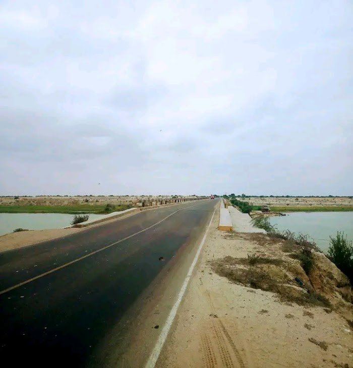 Is California Tours in Berkeley, CA Worth Booking? Expert Review Insights