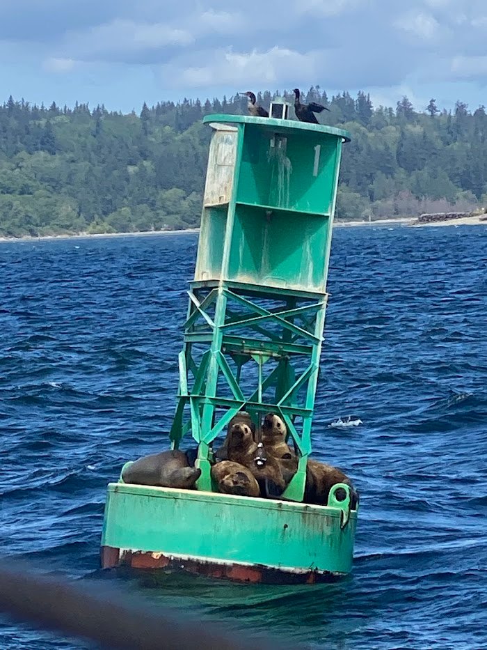 FRS Clipper (Clipper Vacations) Seattle, WA Review: Expert Insights from Real Travelers